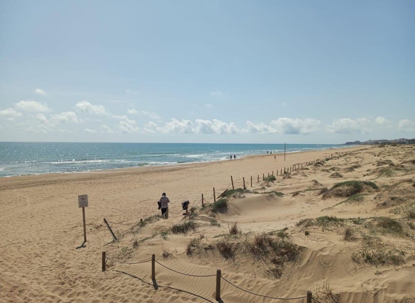 2 bedroom Apartment for sale in Guardamar del Segura with pool - € 180,000 (Ref: 9657038)