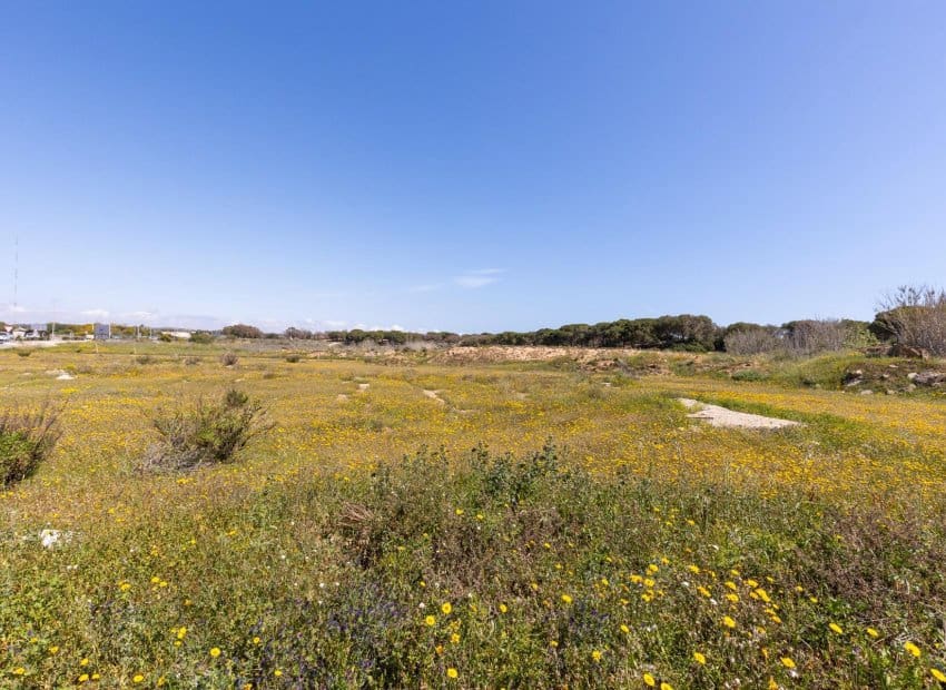 2 bedroom Apartment for sale in Guardamar del Segura with pool - € 180,000 (Ref: 9657038)