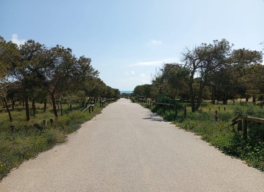 2 bedroom Apartment for sale in Guardamar del Segura with pool - € 180,000 (Ref: 9657038)