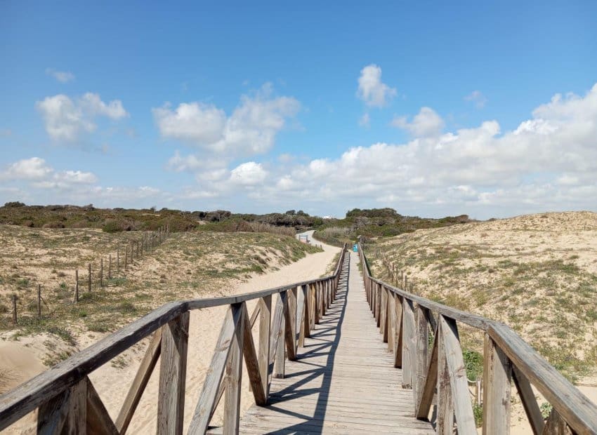 2 bedroom Apartment for sale in Guardamar del Segura with pool - € 180,000 (Ref: 9657038)