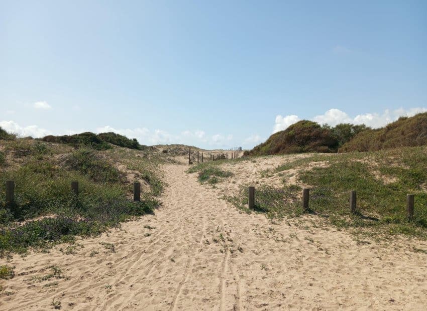 2 bedroom Apartment for sale in Guardamar del Segura with pool - € 180,000 (Ref: 9657038)