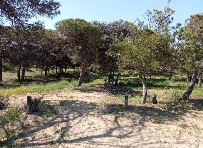 2 bedroom Apartment for sale in Guardamar del Segura with pool - € 180,000 (Ref: 9657038)