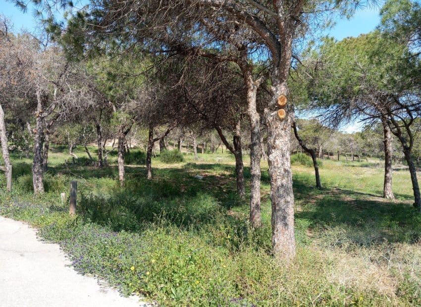 2 bedroom Apartment for sale in Guardamar del Segura with pool - € 180,000 (Ref: 9657038)