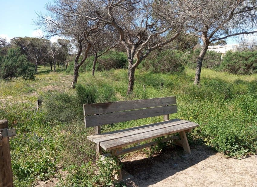 2 bedroom Apartment for sale in Guardamar del Segura with pool - € 180,000 (Ref: 9657038)