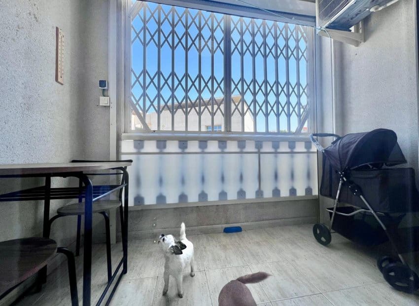 2 chambre Appartement à vendre à Torrevieja avec piscine - 155 000 € (Ref: 9714113)