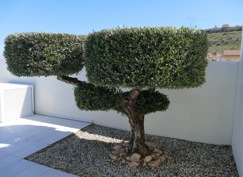 4 quarto Moradia para venda em Benijofar com piscina - 675 000 € (Ref: 9722689)