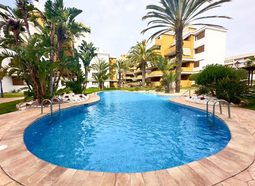 2 bedroom Apartment for sale in Punta Prima with pool - € 330,000 (Ref: 9729479)