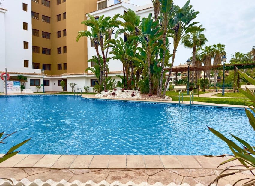 2 bedroom Apartment for sale in Punta Prima with pool - € 330,000 (Ref: 9729479)