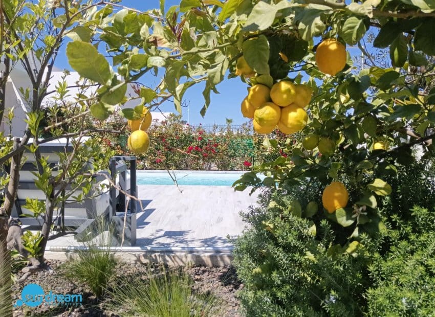 3 camera da letto Villa in vendita in Algorfa con piscina - 630.000 € (Rif: 9739152)