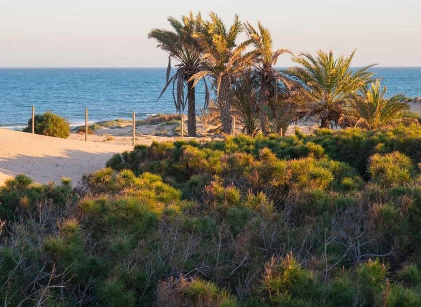 2 camera da letto Appartamento in vendita in Guardamar del Segura con piscina - 245.000 € (Rif: 9784533)