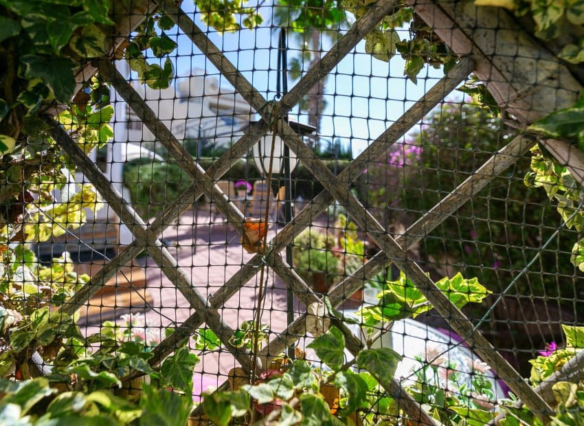 2 Zimmer Apartment zu verkaufen in Playa Flamenca mit Pool - 210.000 € (Ref: 9787986)