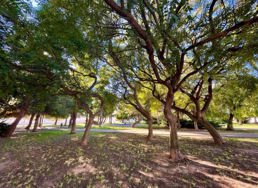 6 camera da letto Casa in vendita in Torrevieja con piscina - 179.000 € (Rif: 9799981)