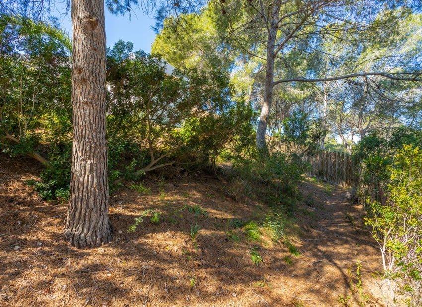 3 chambre Villa/Maison à vendre à Villamartin - 499 000 € (Ref: 9814644)