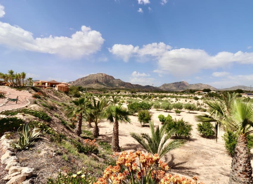 4 bedroom Villa for sale in Albatera with pool - € 540,000 (Ref: 9840628)
