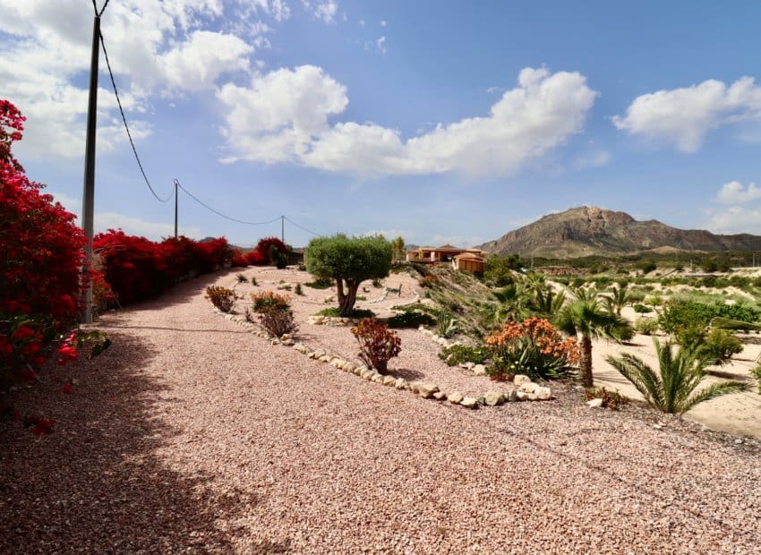 4 bedroom Villa for sale in Albatera with pool - € 540,000 (Ref: 9840628)