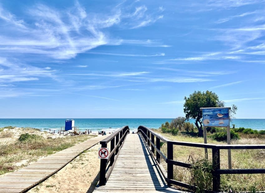 2 sypialnia Apartament na sprzedaż w La Mata z basenem - 240 000 € (Ref: 9843999)