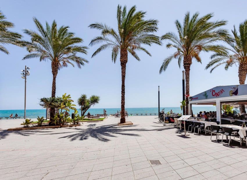 3 chambre Appartement à vendre à Torrevieja - 224 969 € (Ref: 9869671)