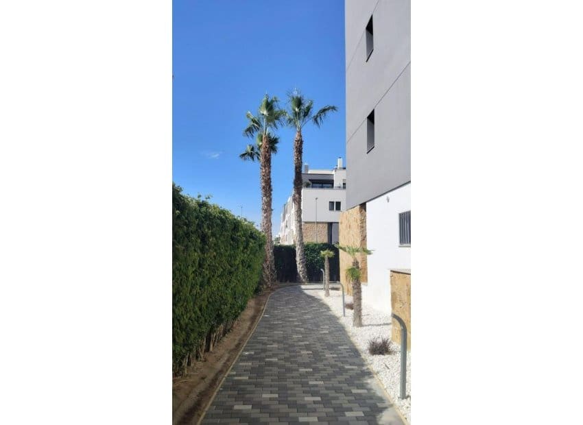 2 sovrum Lägenhet till salu i Los Altos med pool - 269 000 € (Ref: 9869672)