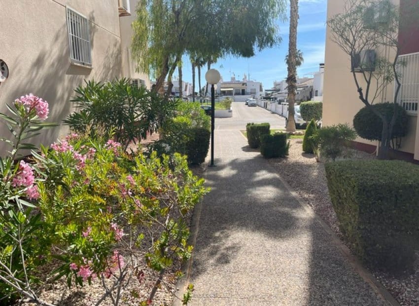 2 slaapkamer Appartement te koop in Playa Flamenca - € 179.900 (Ref: 9882456)