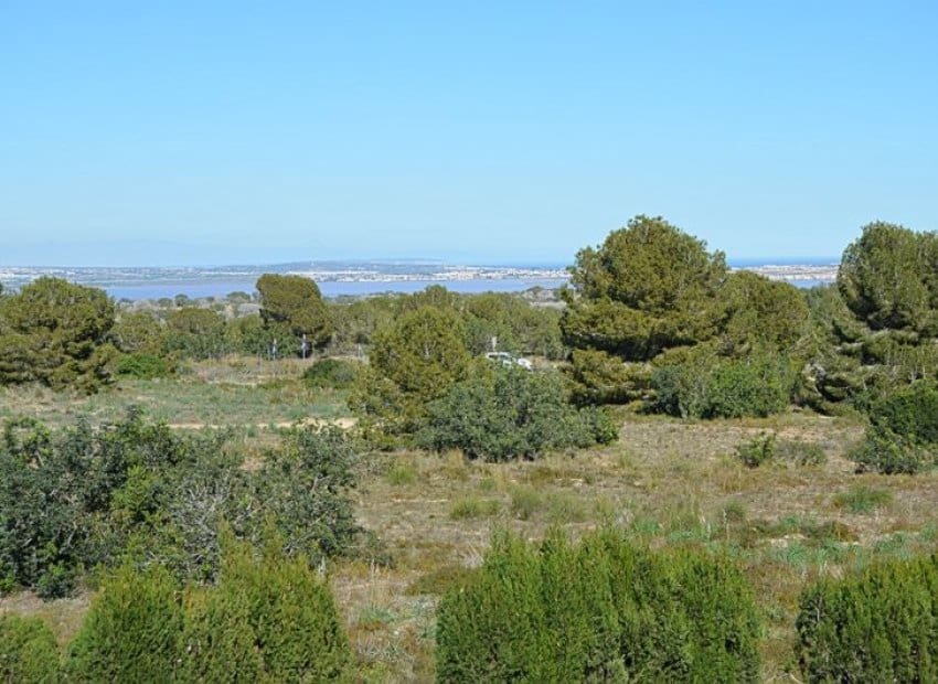1 slaapkamer Appartement te koop in San Miguel de Salinas met zwembad - € 118.500 (Ref: 9891073)