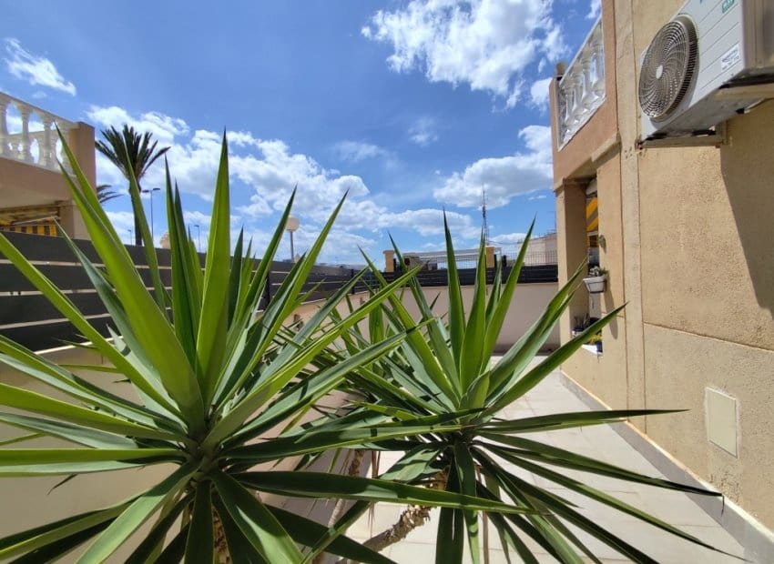 2 sypialnia Apartament na sprzedaż w Torrevieja z basenem - 165 000 € (Ref: 9911558)