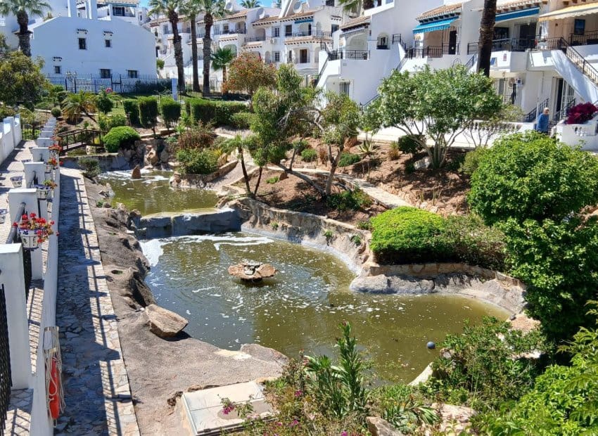 2 Zimmer Haus zu verkaufen in Villamartin mit Pool - 219.950 € (Ref: 9921001)
