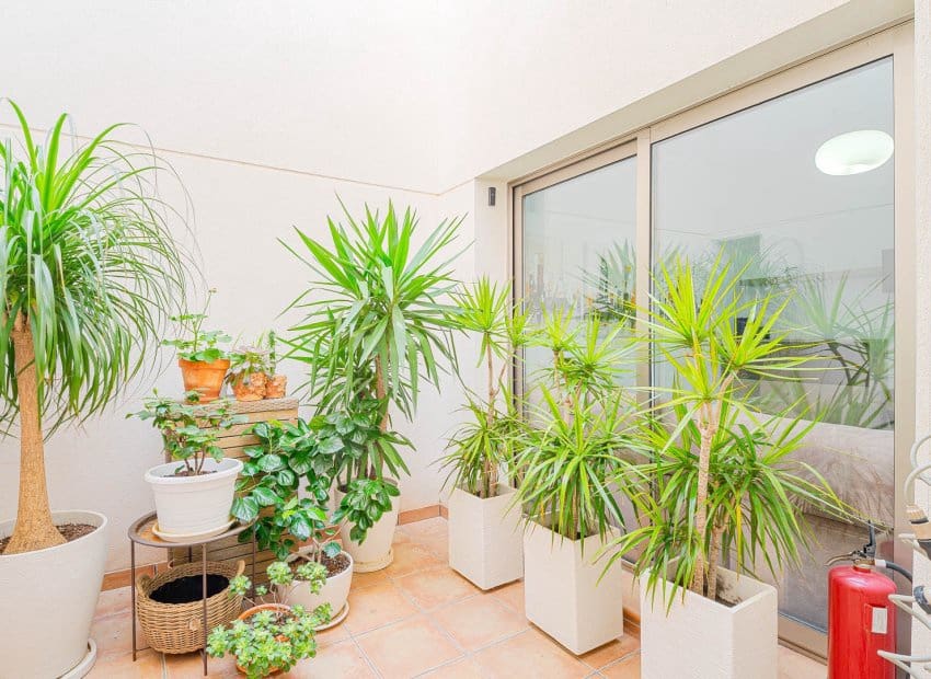 3 bedroom Townhouse for sale in Punta Prima with pool - € 355,000 (Ref: 9927921)