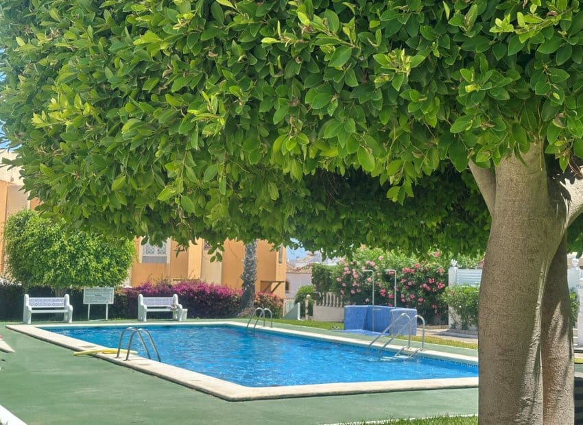 1 slaapkamer Appartement te koop in La Mata met zwembad - € 146.900 (Ref: 9981256)