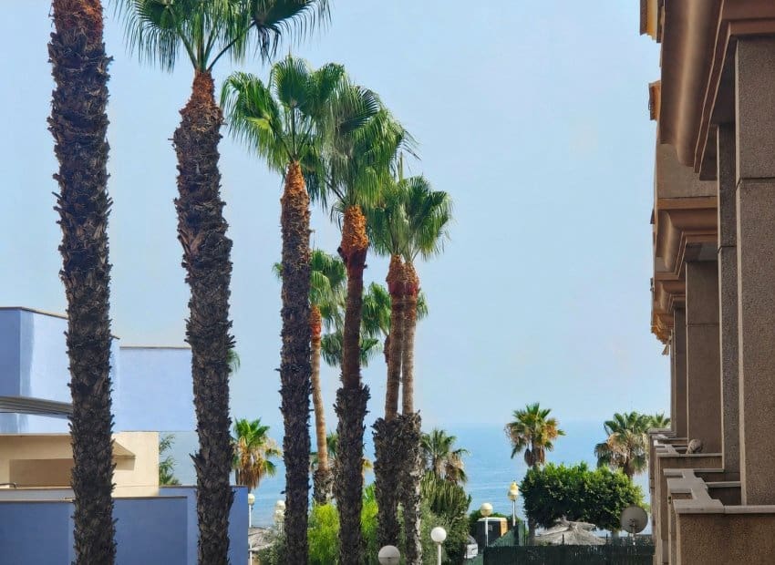 2 soveværelse Lejlighed til salg i Cabo Roig med swimmingpool - € 224.000 (Ref: 9981264)