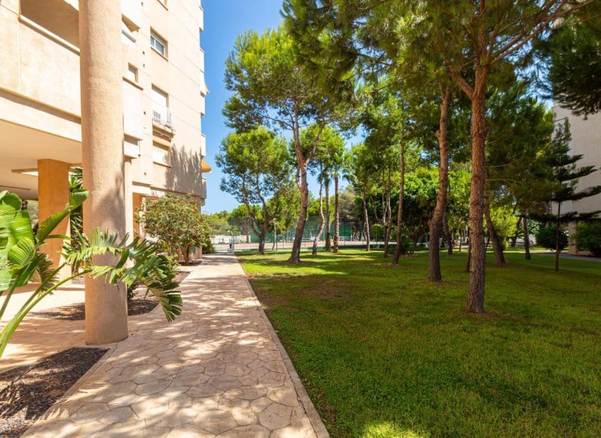1 quarto Apartamento para venda em Dehesa de Campoamor com piscina - 185 000 € (Ref: 9991508)