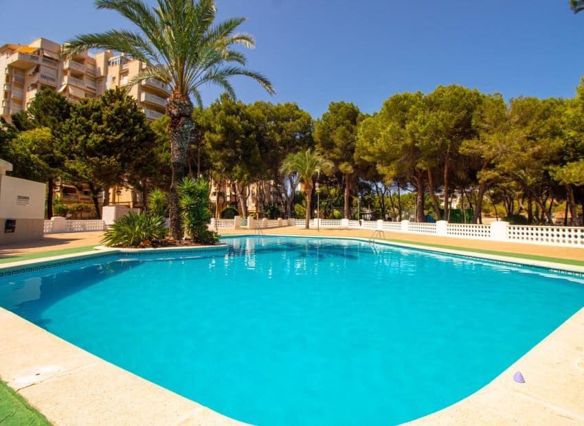 1 quarto Apartamento para venda em Dehesa de Campoamor com piscina - 185 000 € (Ref: 9991508)