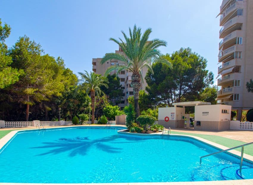 1 quarto Apartamento para venda em Dehesa de Campoamor com piscina - 185 000 € (Ref: 9991508)