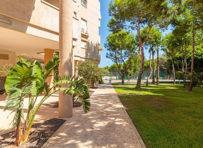 1 quarto Apartamento para venda em Dehesa de Campoamor com piscina - 185 000 € (Ref: 9991508)