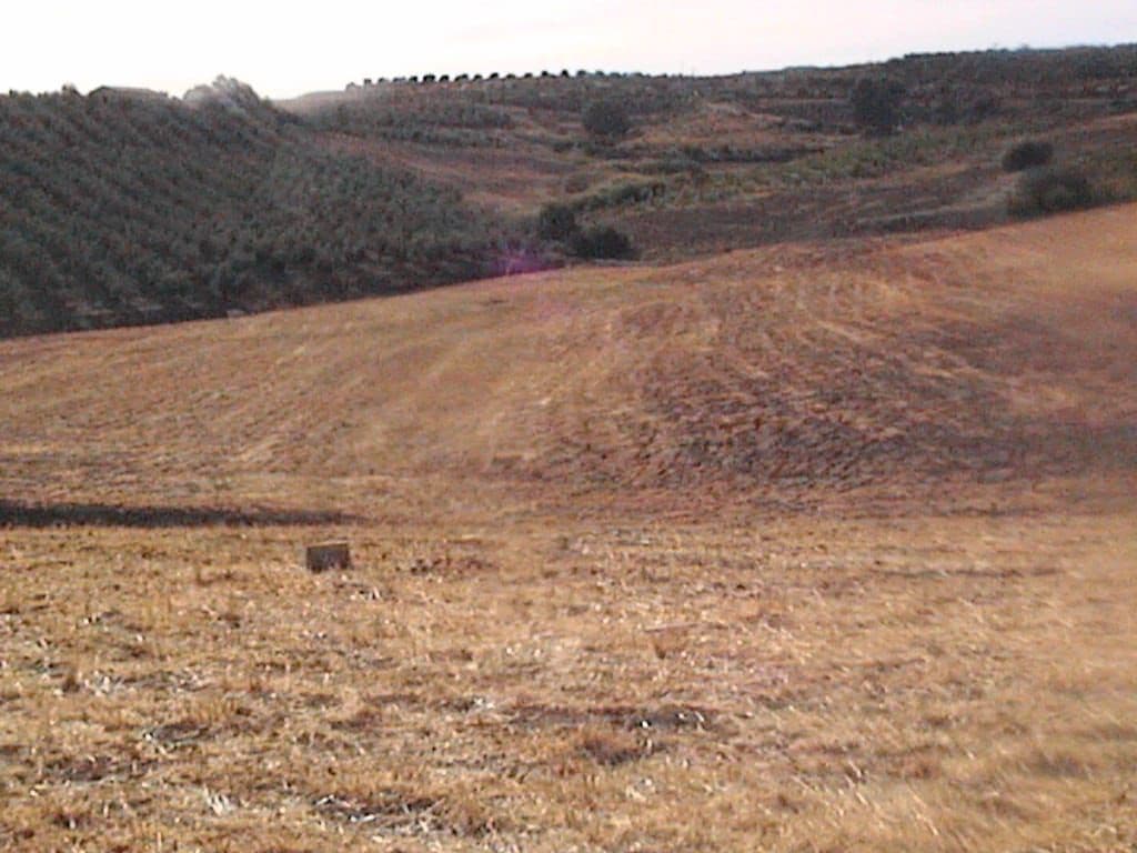 Finca/Casa Rural en Coín en venta - 83.900 € (Ref: 9699867)