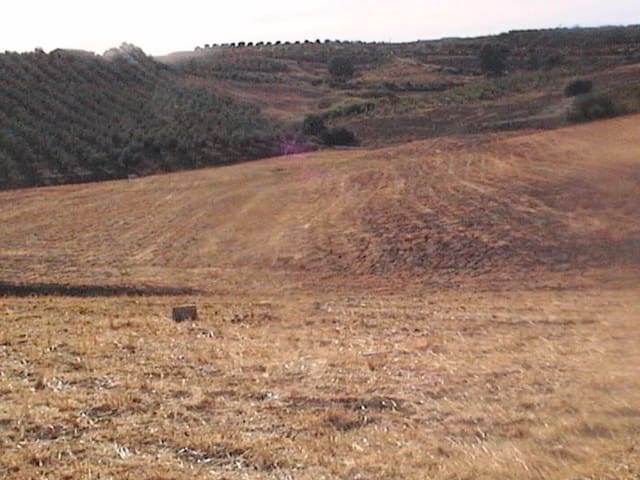 Finca/Maison de Campagne à vendre à Coín - 83 900 € (Ref: 9699867)