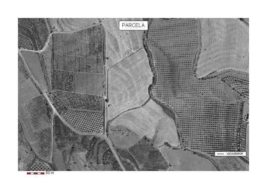 Finca/Casa Rural en Coín en venta - 83.900 € (Ref: 9699867)