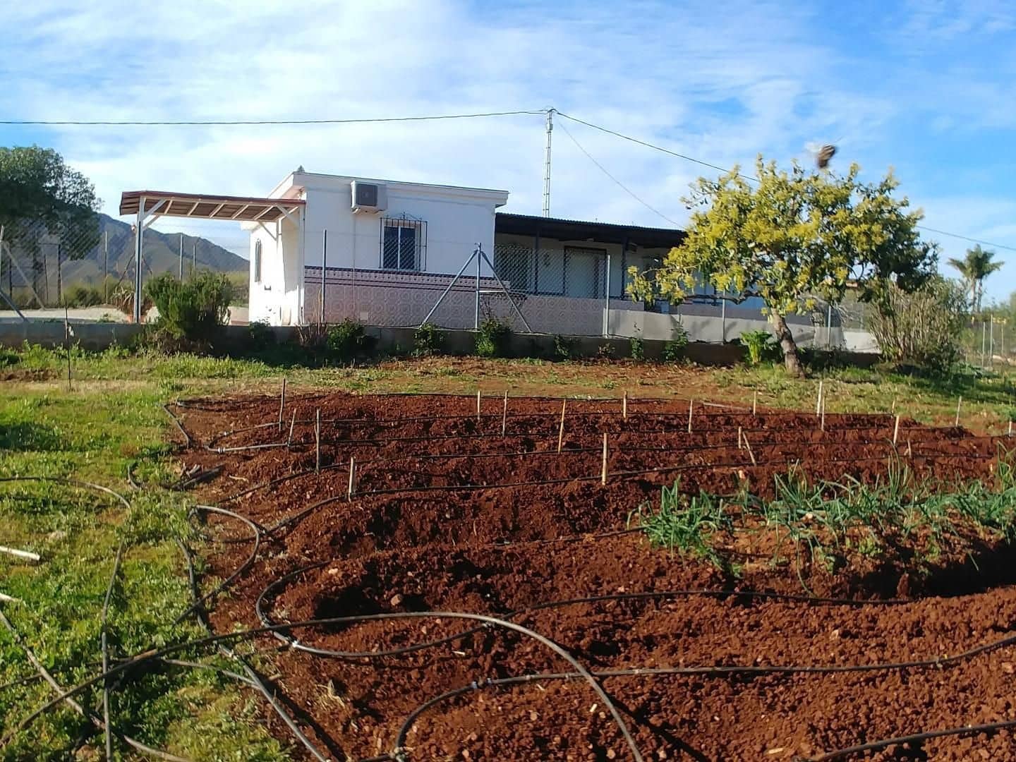 Finca/Country House for sale in Mijas - € 396,000 (Ref: 9699870)