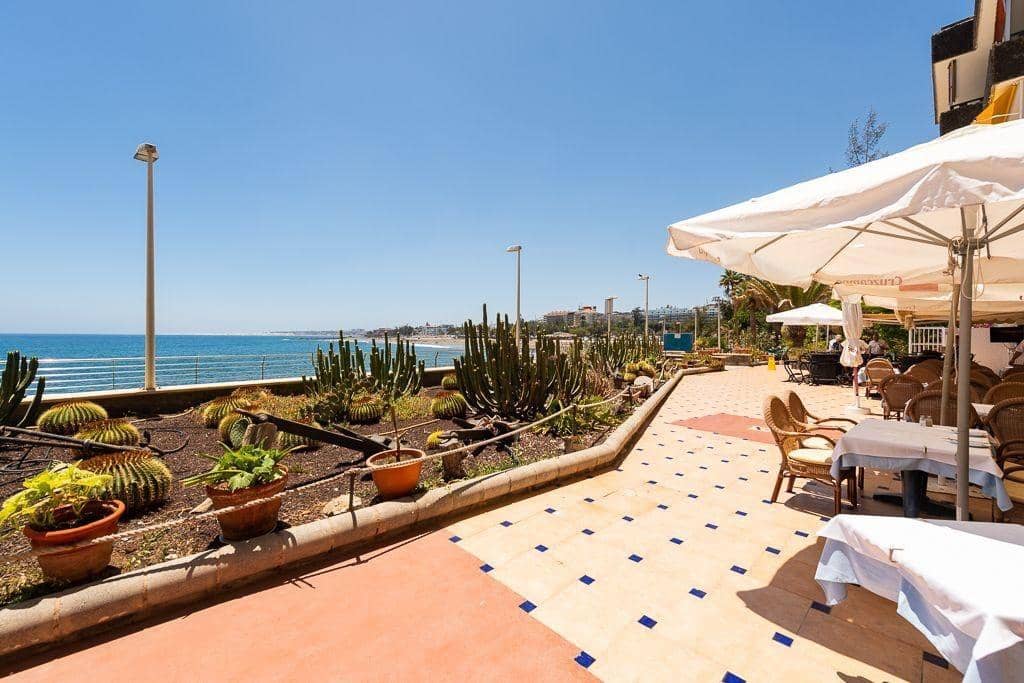 Estudio de 1 habitación en San Bartolomé de Tirajana en alquiler con piscina - 1.400 € (Ref: 10166692)