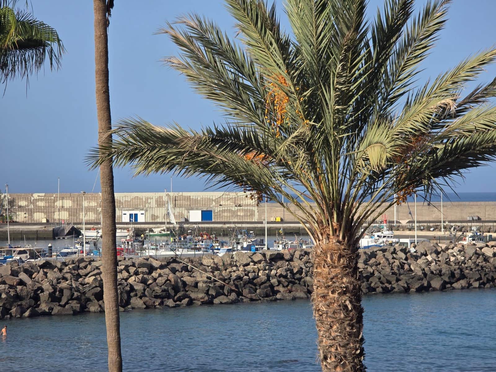 1 bedroom Apartment for rent in Arguineguin - € 1,350 (Ref: 9296859)