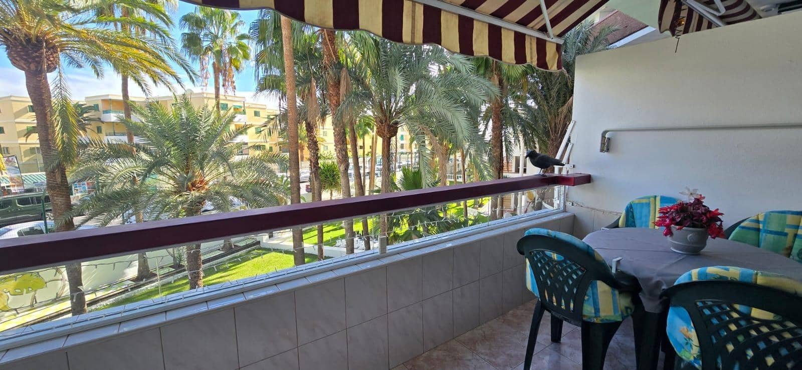 Apartamento de 1 habitación en Playa del Inglés en venta - 225.000 € (Ref: 9450598)