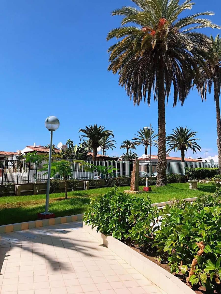 1 bedroom Studio for rent in Playa del Ingles - € 1,200 (Ref: 9690578)