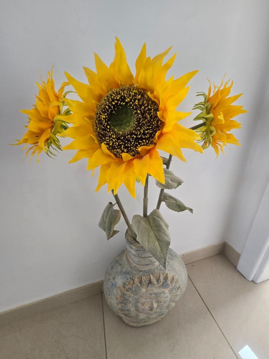 1 Zimmer Apartment zu vermieten in Arguineguin - 800 € (Ref: 9714902)