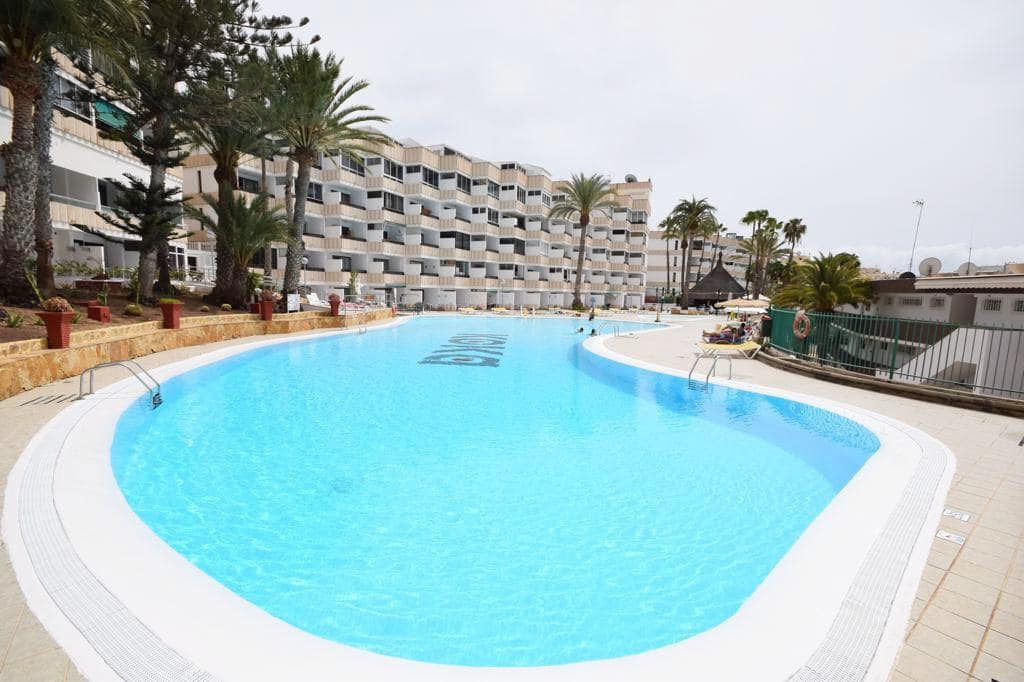 Estudio en Playa del Inglés en alquiler con piscina - 700 € (Ref: 9860079)