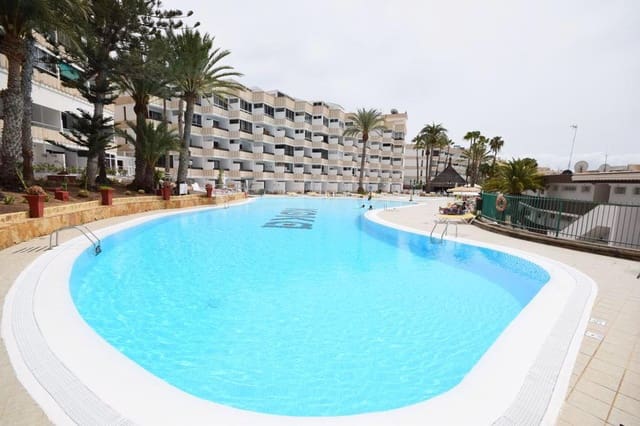 Estudio en Playa del Inglés, San Bartolomé de Tirajana en alquiler con piscina - 700 € (Ref: 9860079)