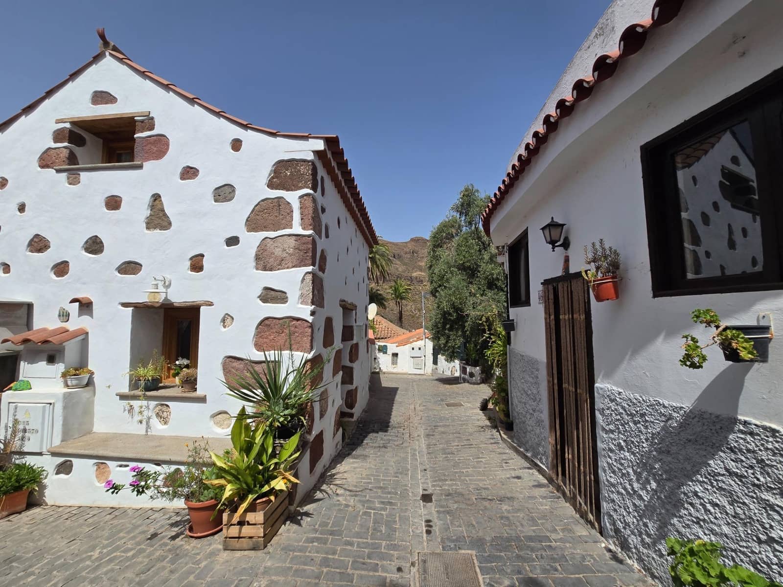 1 bedroom Finca/Country House for rent in Santa Lucia de Tirajana - € 500 (Ref: 9973312)