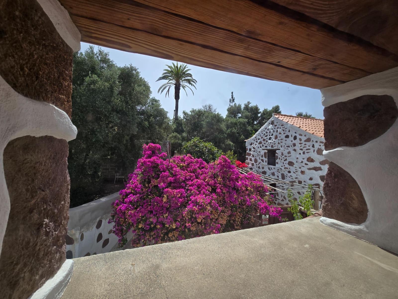 1 bedroom Finca/Country House for rent in Santa Lucia de Tirajana - € 500 (Ref: 9973312)