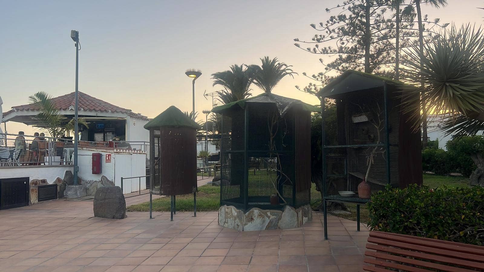2 bedroom Bungalow for rent in Playa del Ingles with pool - € 1,600 (Ref: 9983000)
