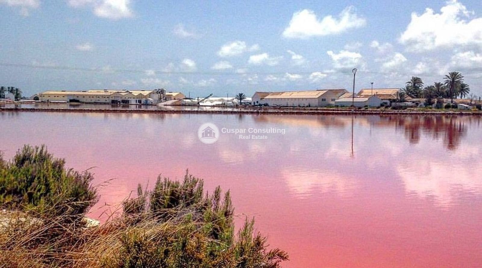 2 bedroom Flat for sale in Lo Pagan with pool garage - € 208,900 (Ref: 9491673)