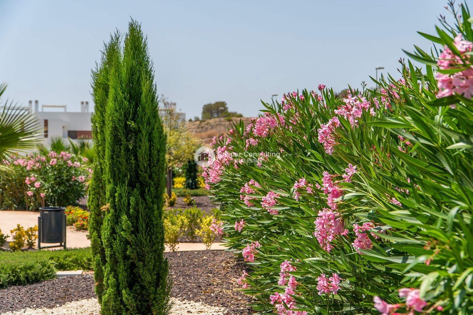 2 makuuhuone Kattohuoneisto myytävänä paikassa Orihuela mukana 
autotalli - 299 900 € (Ref: 9594524)