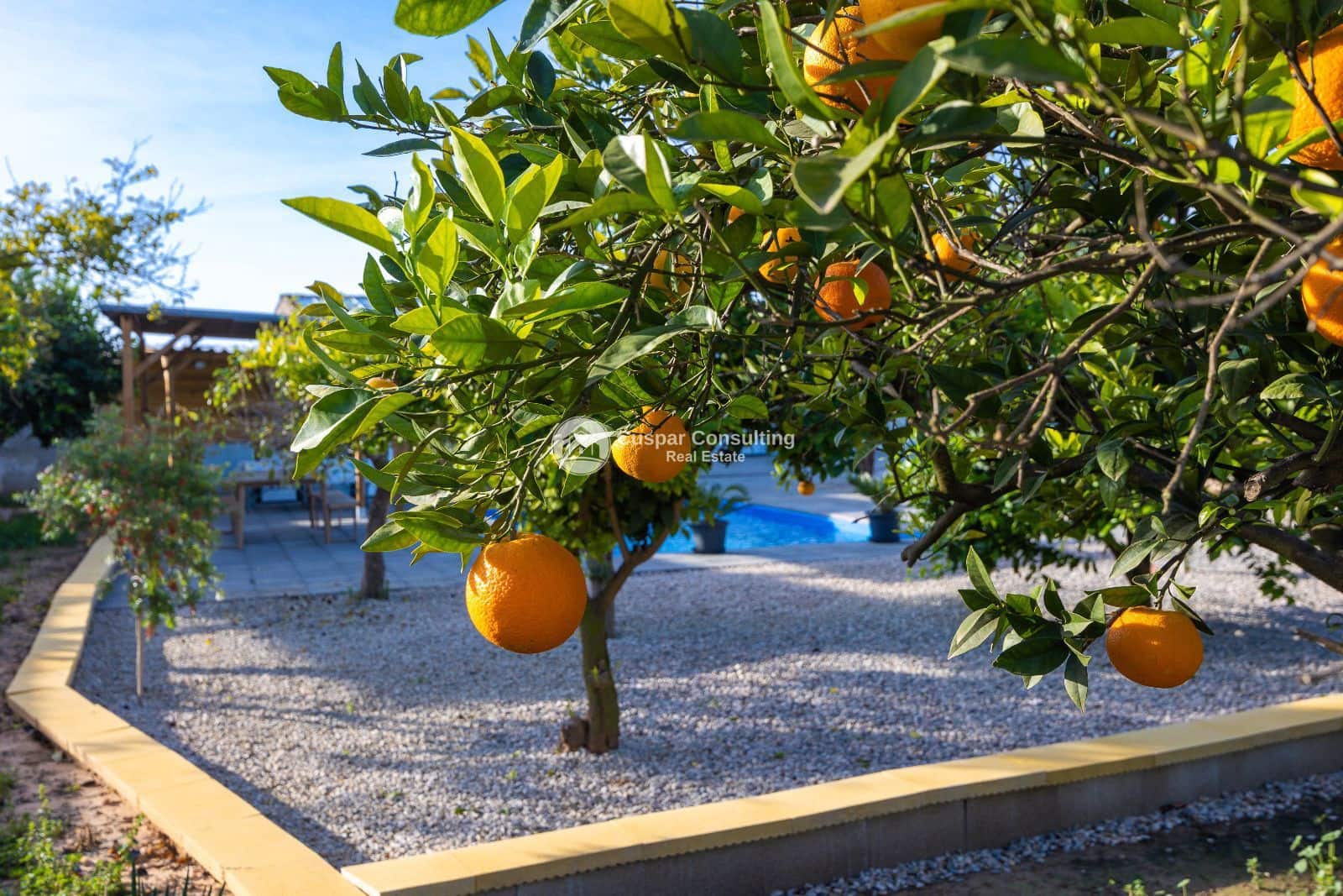 3 chambre Villa/Maison à vendre à Los Montesinos avec piscine garage - 329 900 € (Ref: 9684363)